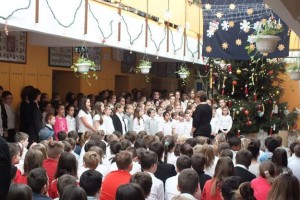 1395919_877944628929113_1423948586562569503_n