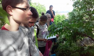 2_2_Szársomlyótúra (43)